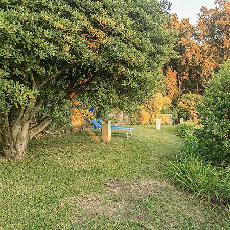Apartment Iflat Castel Sem Benelli Zoagli